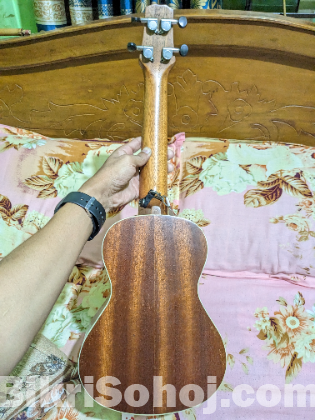 ইকুলেলে